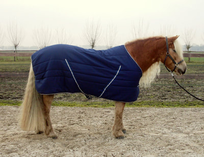 Profetie ballon Fabriek Meer info over zelf paardenkleding maken - PAARDEN COLUMNS